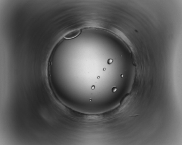 X0000090751339200707201442