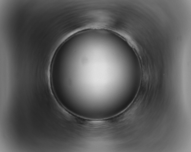 X0000090751343200707201442
