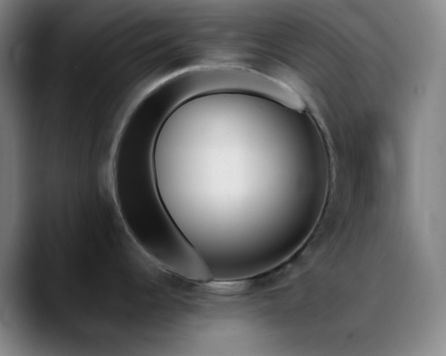 X0000090751344200707201442