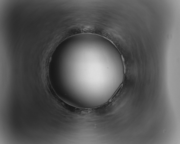 X0000090751345200707201441