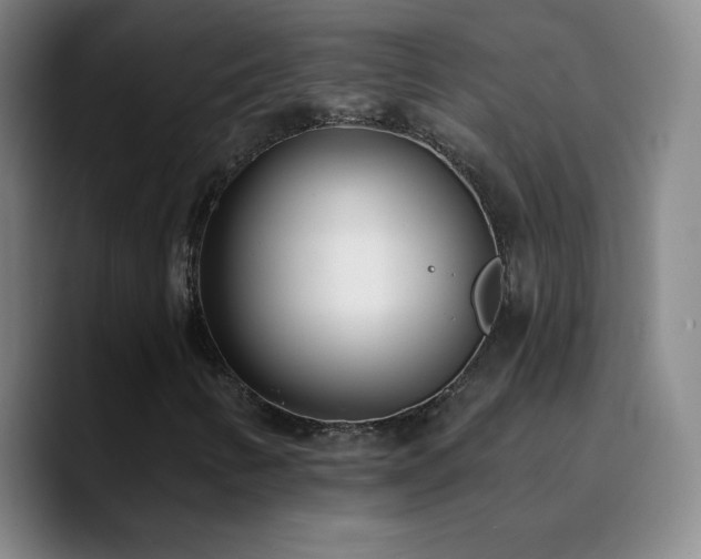 X0000090751346200707201441