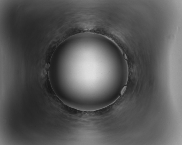 X0000090751349200707201441
