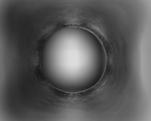 X0000090751350200707201441