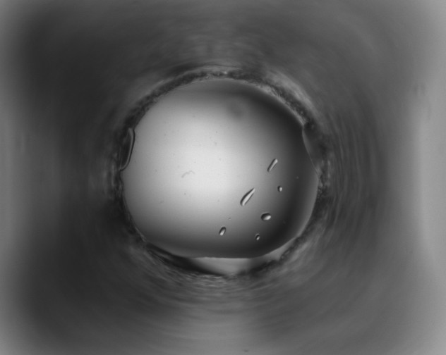 X0000090751352200707201441