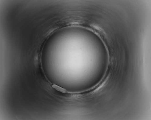 X0000090751353200707201441