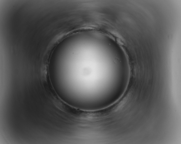 X0000090751355200707201441