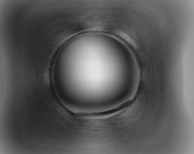 X0000090751356200707201441