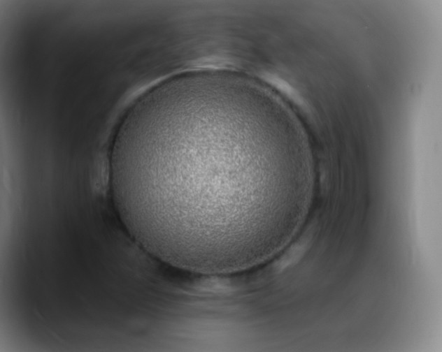 X0000090751358200707201441