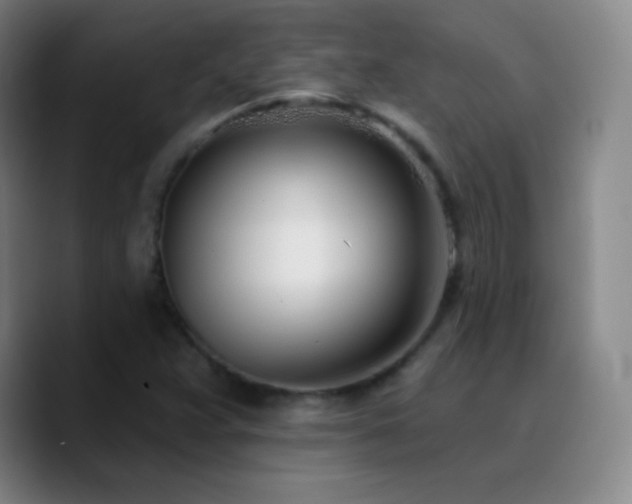 X0000090751359200707201441