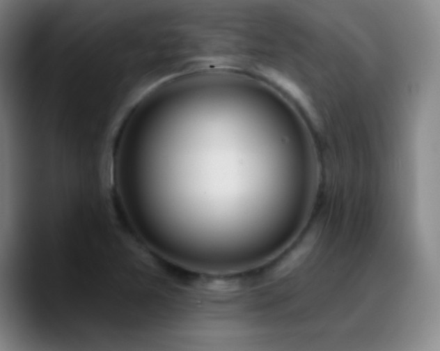 X0000090751365200707201441