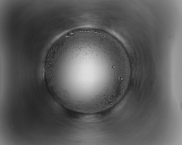 X0000090751367200707201441