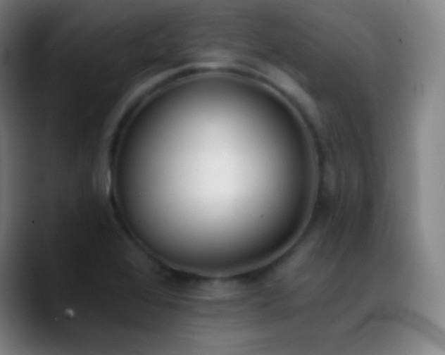 X0000090751368200707201441