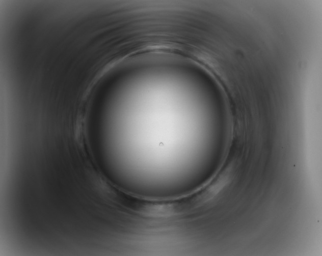 X0000090751369200707201441