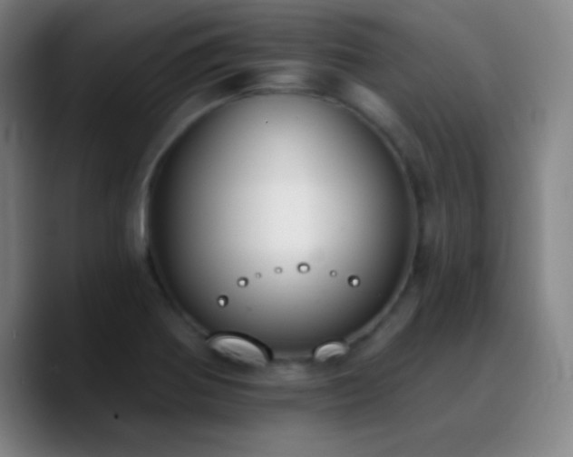 X0000090751370200707201441