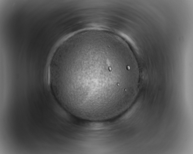 X0000090751371200707201441