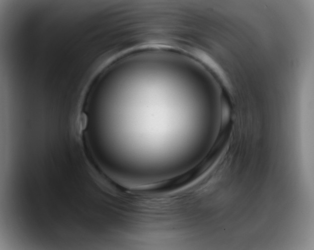X0000090751372200707201441