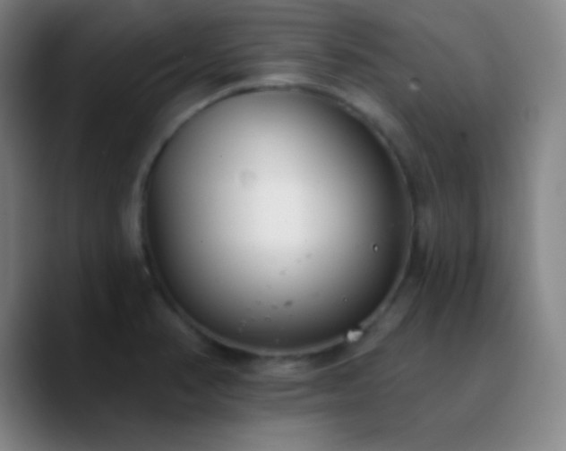 X0000090751374200707201441