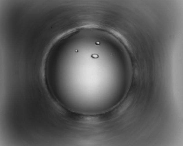 X0000090751375200707201441
