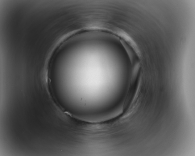 X0000090751376200707201441