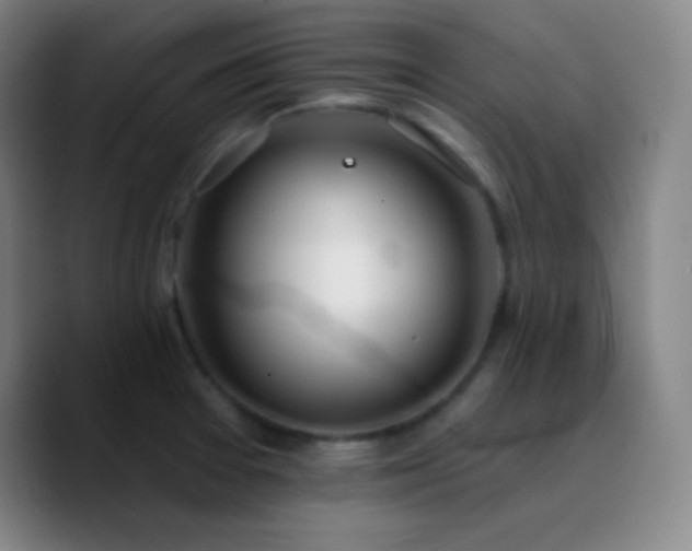 X0000090751377200707201441