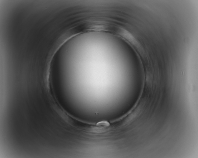 X0000090751378200707201441