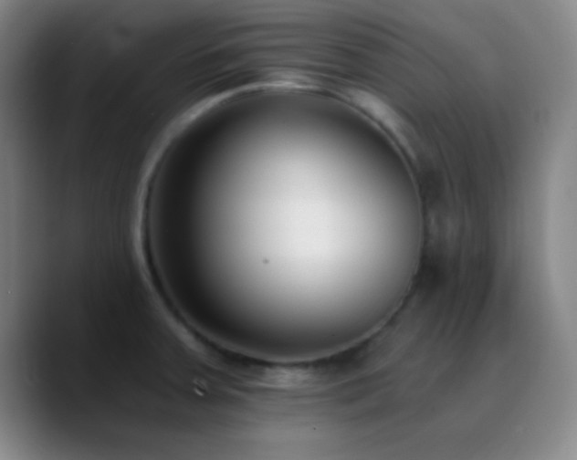 X0000090751379200707201441