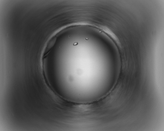 X0000090751380200707201441