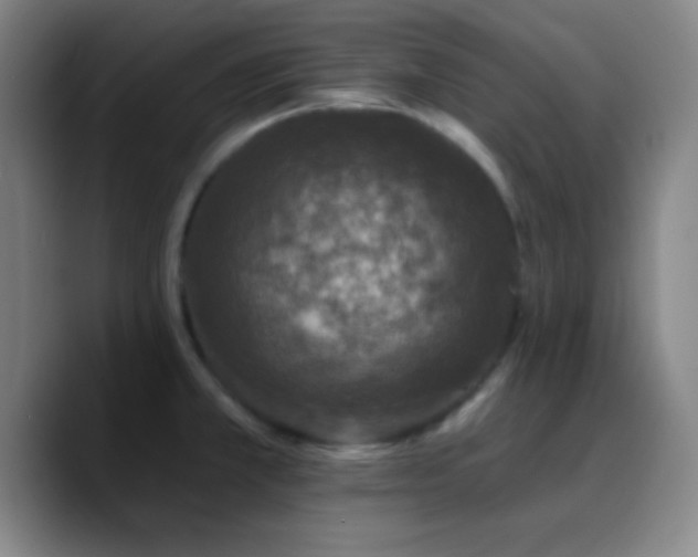 X0000090751381200707201441