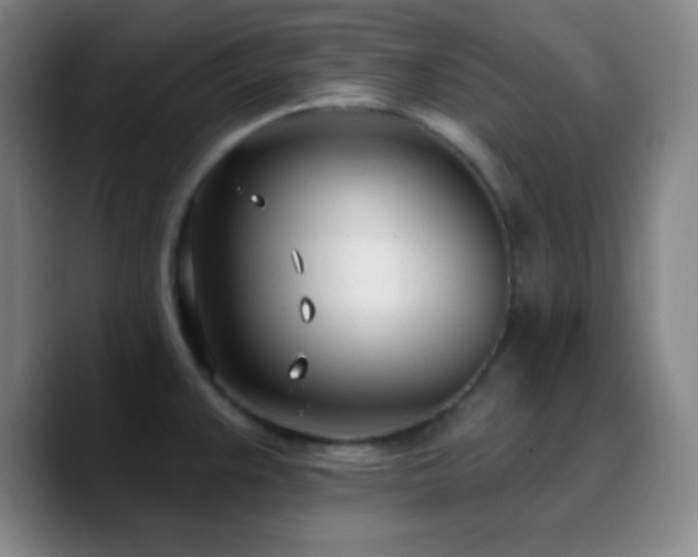 X0000090751383200707201441