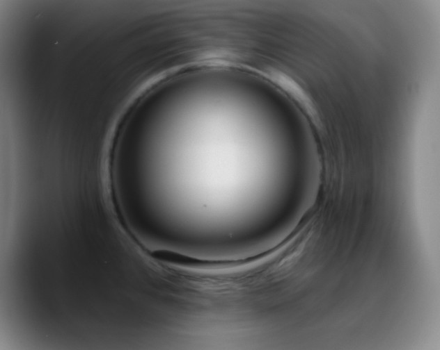X0000090751384200707201441
