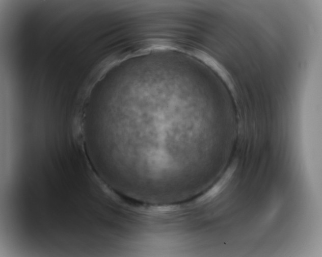 X0000090751385200707201441