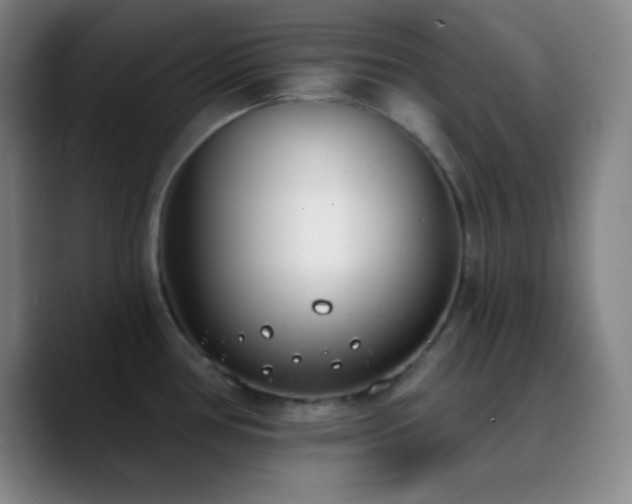 X0000090751386200707201440