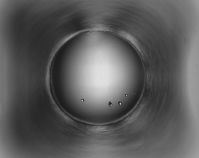 X0000090751387200707201440