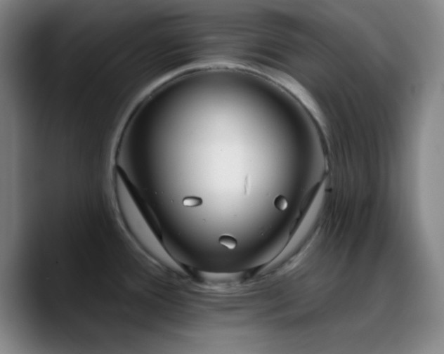 X0000090751388200707201440