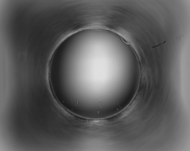 X0000090751390200707201440