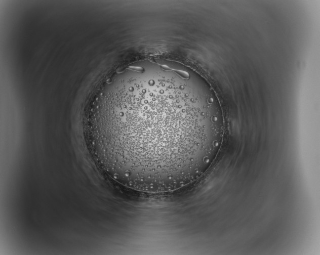 X0000090751393200707201440