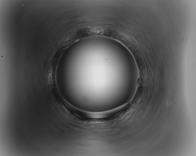 X0000090751394200707201440