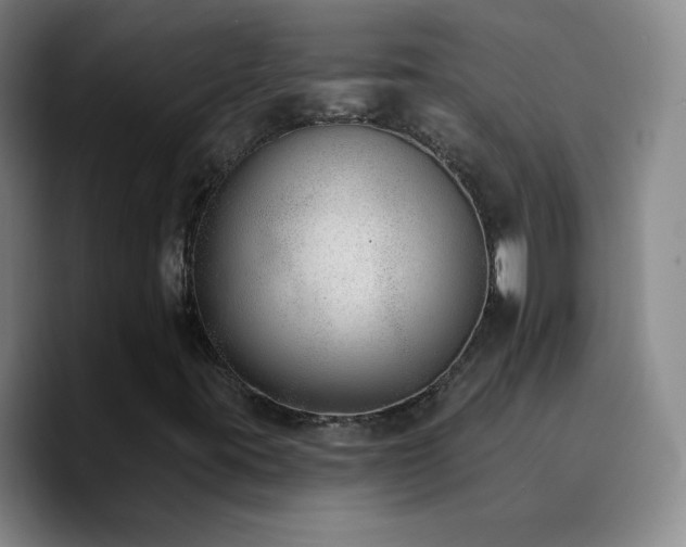 X0000090751395200707201440