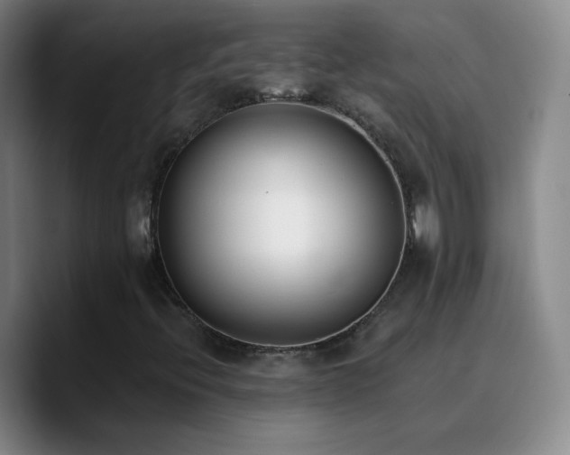 X0000090751396200707201440
