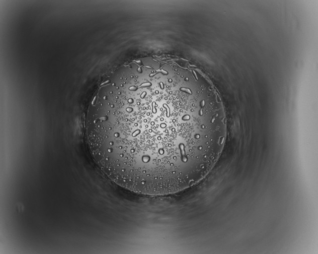 X0000090751397200707201440