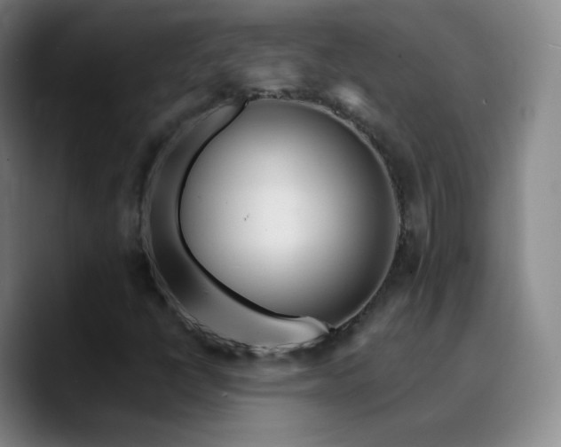 X0000090751398200707201440