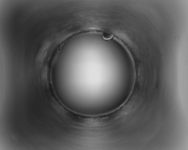 X0000090751404200707201440