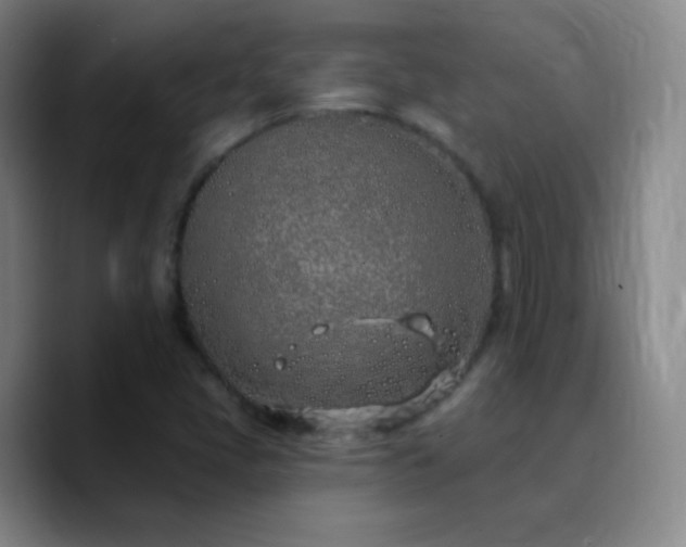X0000090751405200707201440