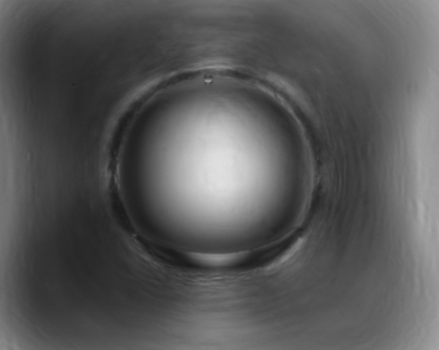 X0000090751406200707201440