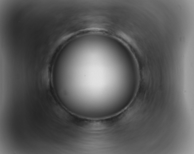 X0000090751408200707201440