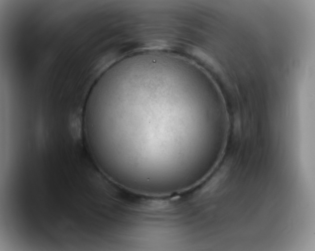 X0000090751409200707201440