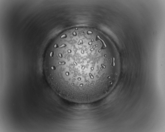 X0000090751411200707201440
