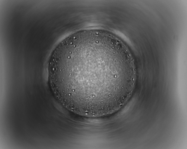 X0000090751413200707201440
