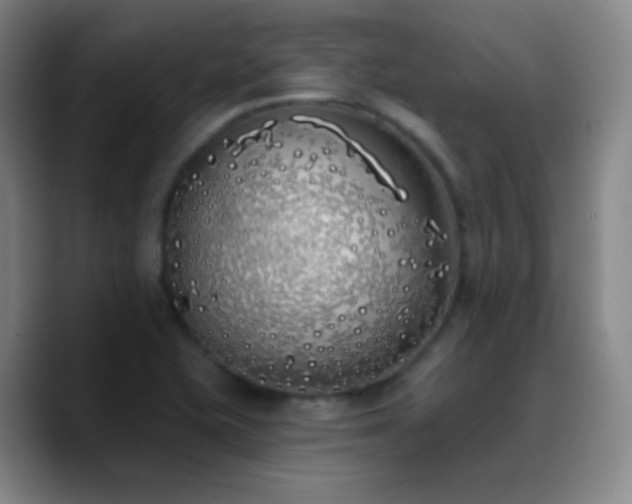 X0000090751415200707201440
