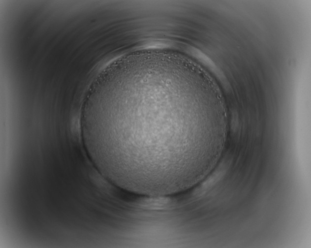 X0000090751417200707201440